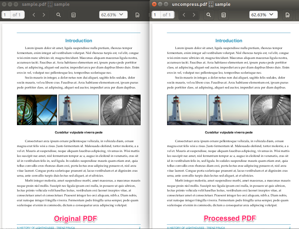 image replaced pdf