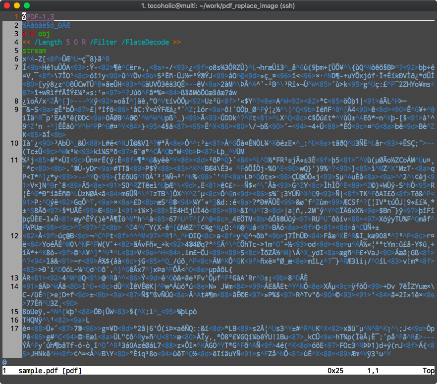 PDF in VIM