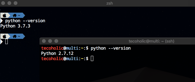 Python Version Check